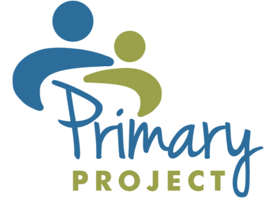 Primary Project Professional Development