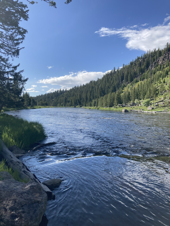 Coalition Participates in the Montana Summer Institute